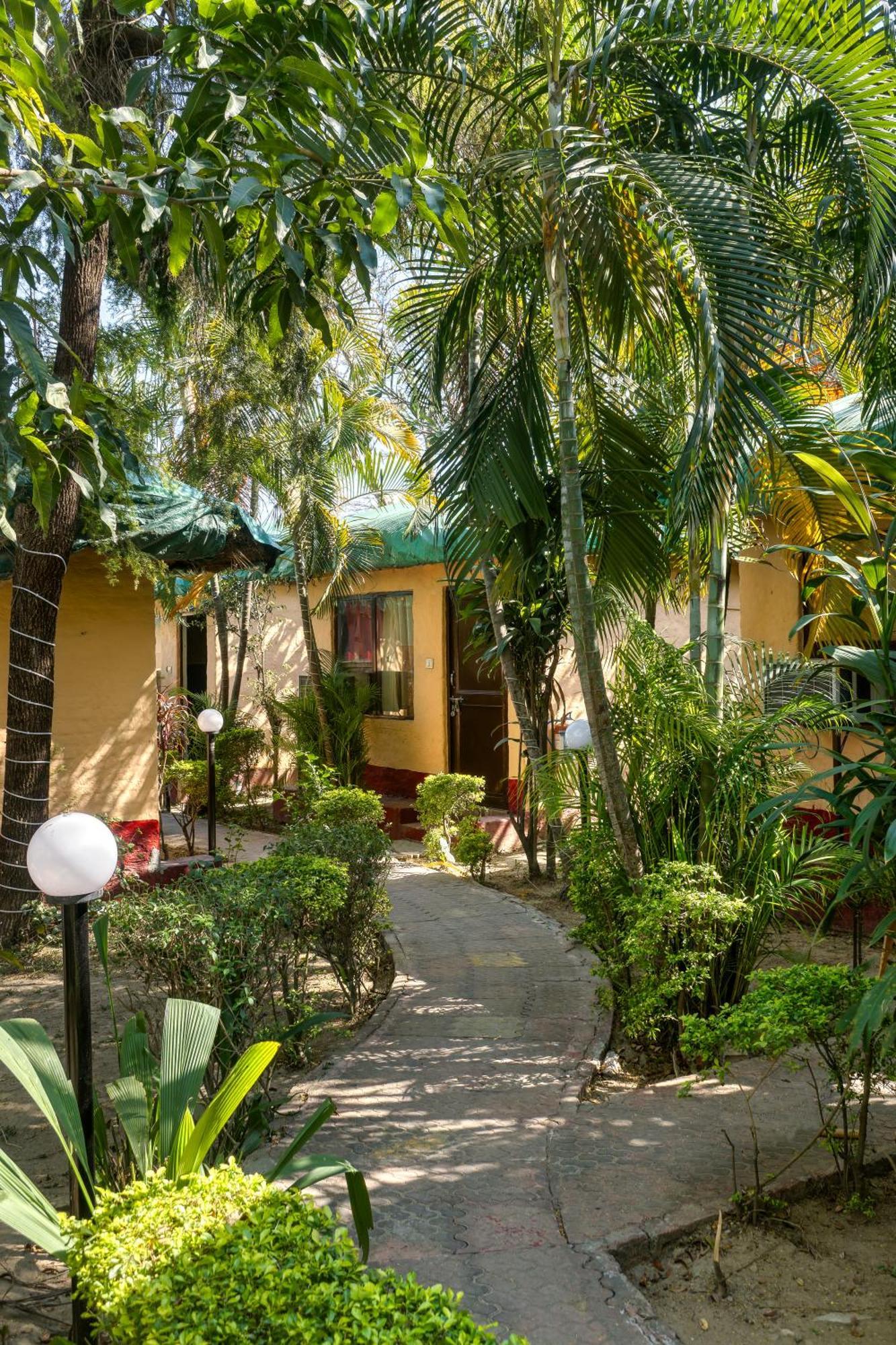 The Wild Orchid Resort Corbett Ramnagar  Luaran gambar